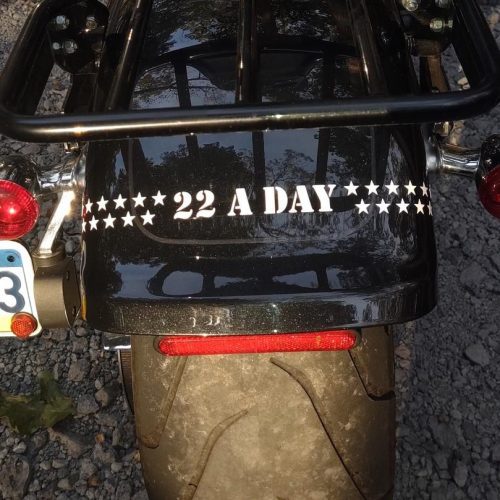 22 A DAY DECAL 1