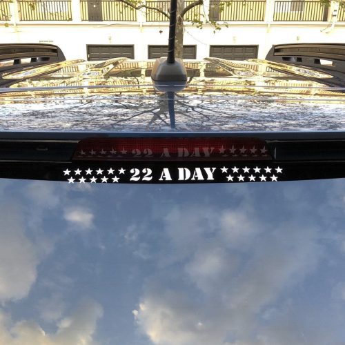 22 A DAY DECAL 6