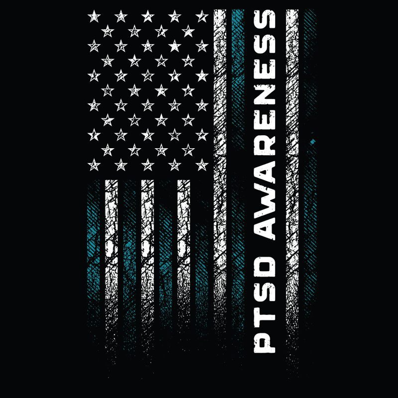 PTSD Awareness Flag Back